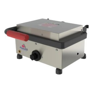 Mini Grill Elétrico Progás Pr-220en Prensa Chapa Inox